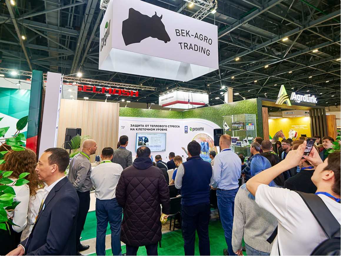 国际涂料工业展现场照片