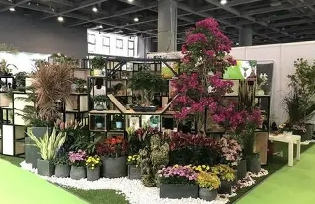 国际涂料工业展现场照片