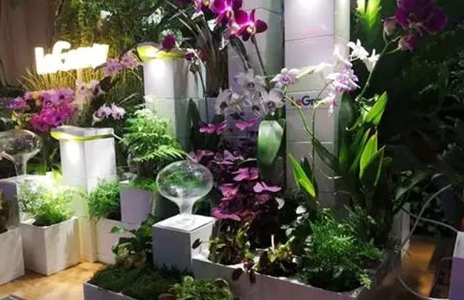 国际涂料工业展现场照片