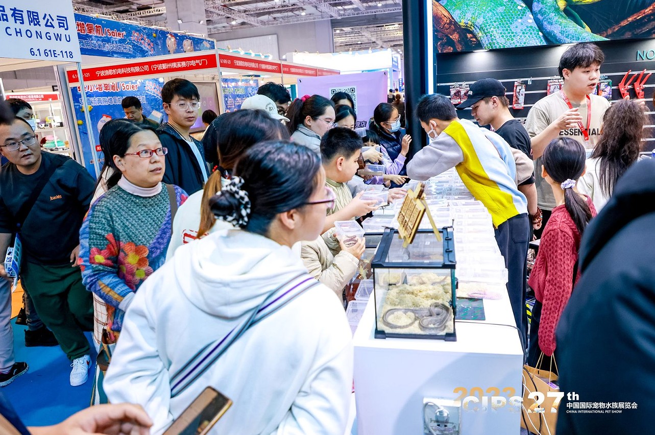 国际涂料工业展现场照片