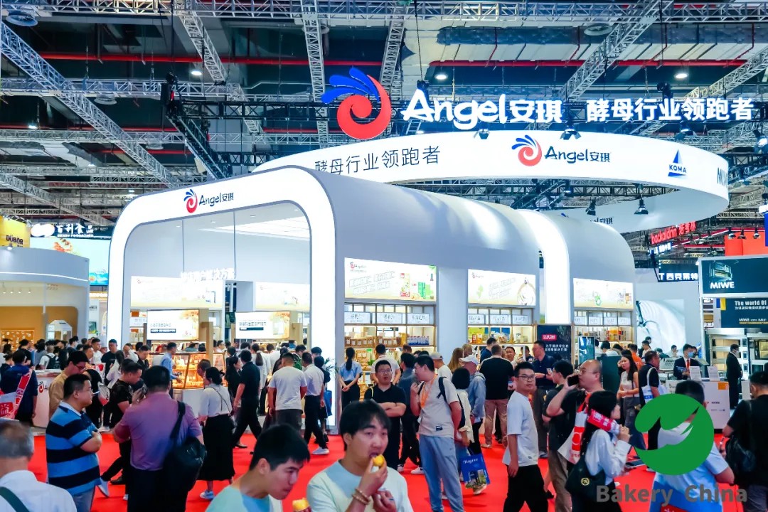 国际涂料工业展现场照片