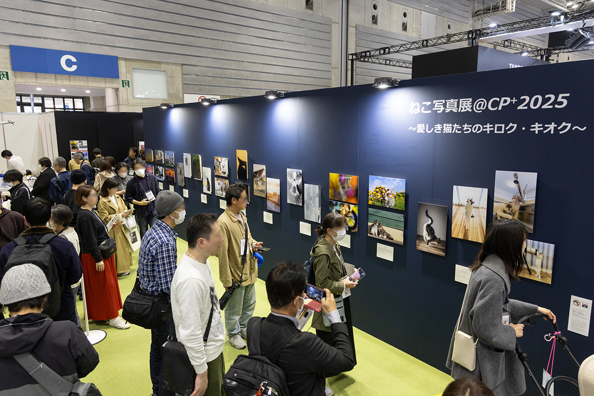 国际涂料工业展现场照片