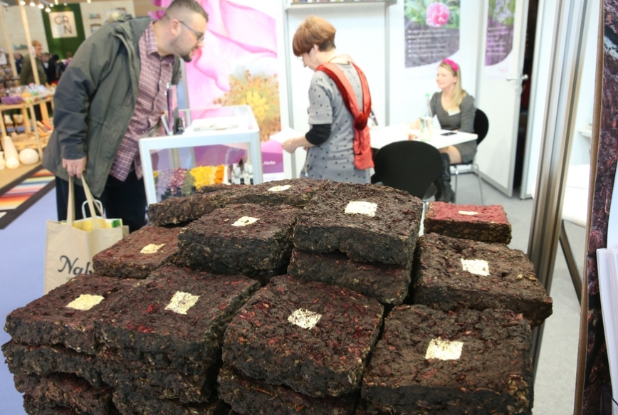 国际涂料工业展现场照片