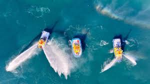 国际涂料工业展现场照片