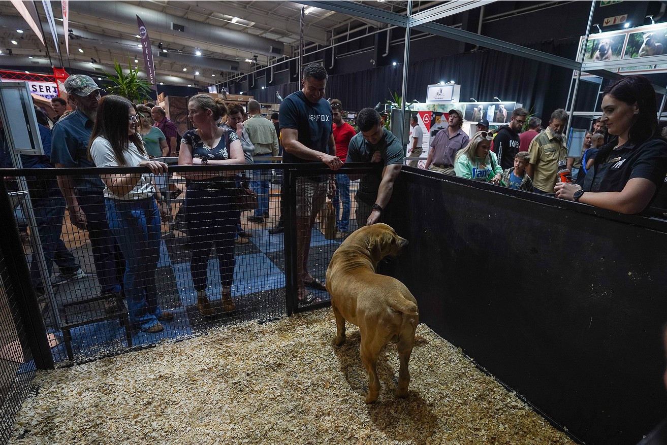 国际涂料工业展现场照片