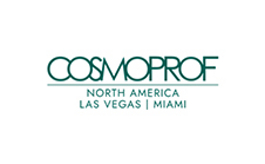  曼德勒海湾会议中心 Mandalay Bay Convention Center