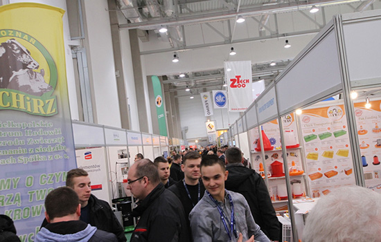 国际涂料工业展现场照片