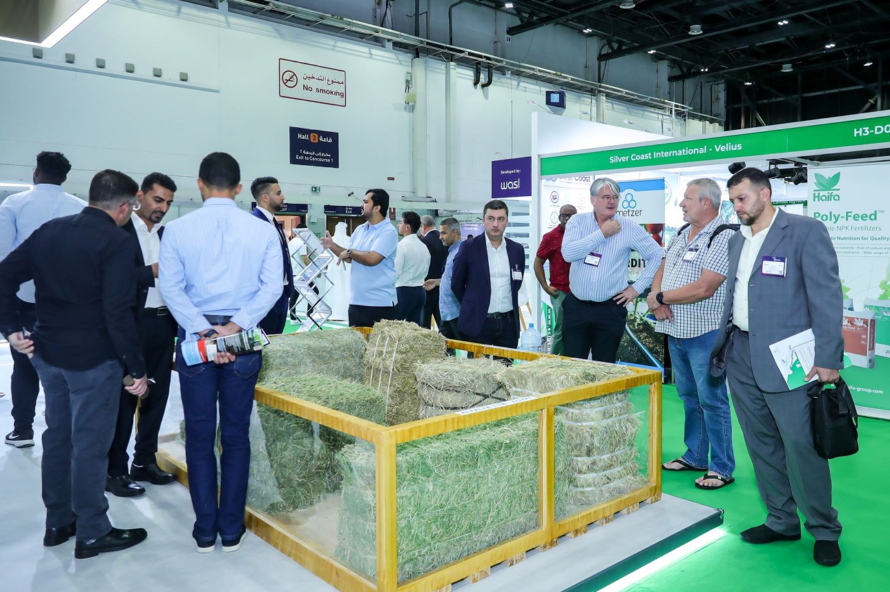 国际涂料工业展现场照片