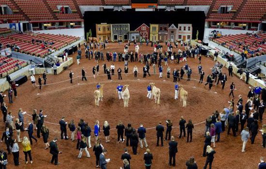 国际涂料工业展现场照片