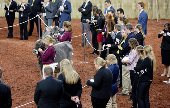 国际涂料工业展现场照片