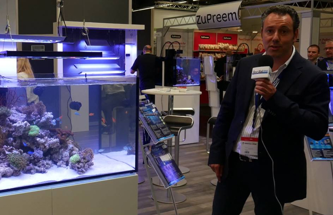 国际涂料工业展现场照片