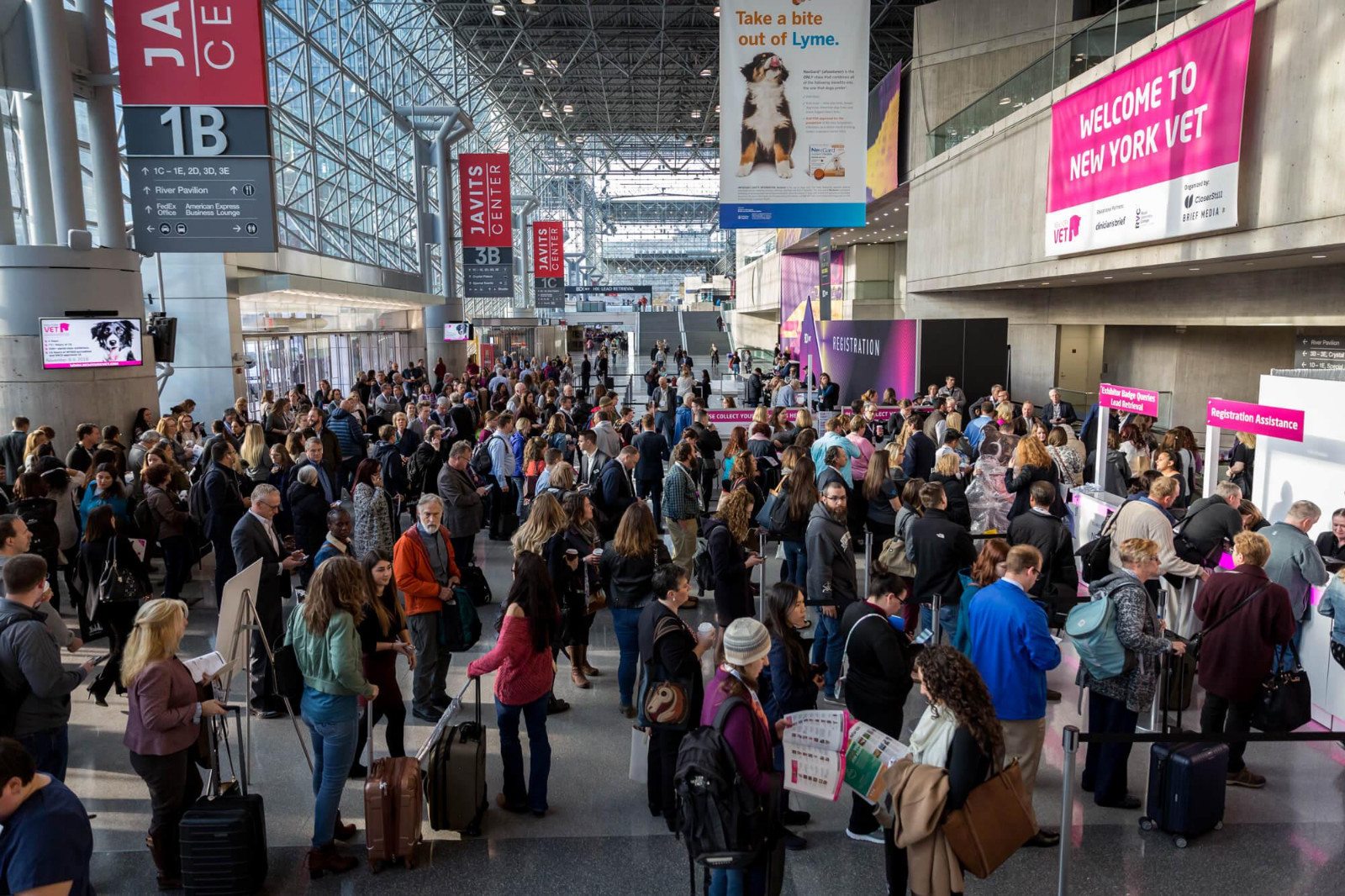 国际涂料工业展现场照片