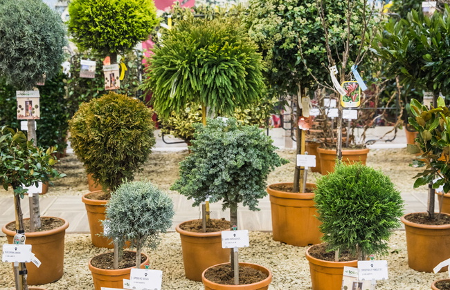 国际涂料工业展现场照片