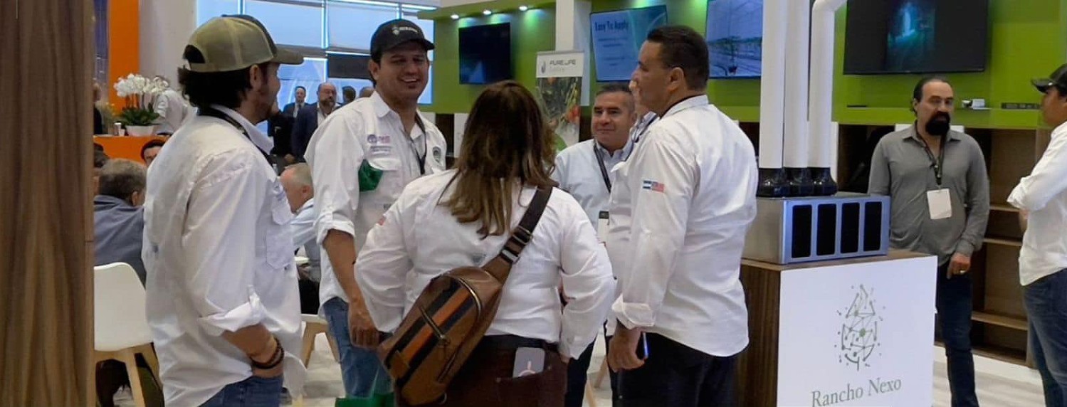 国际涂料工业展现场照片