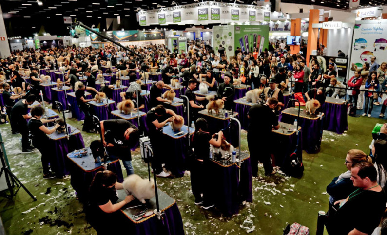 国际涂料工业展现场照片