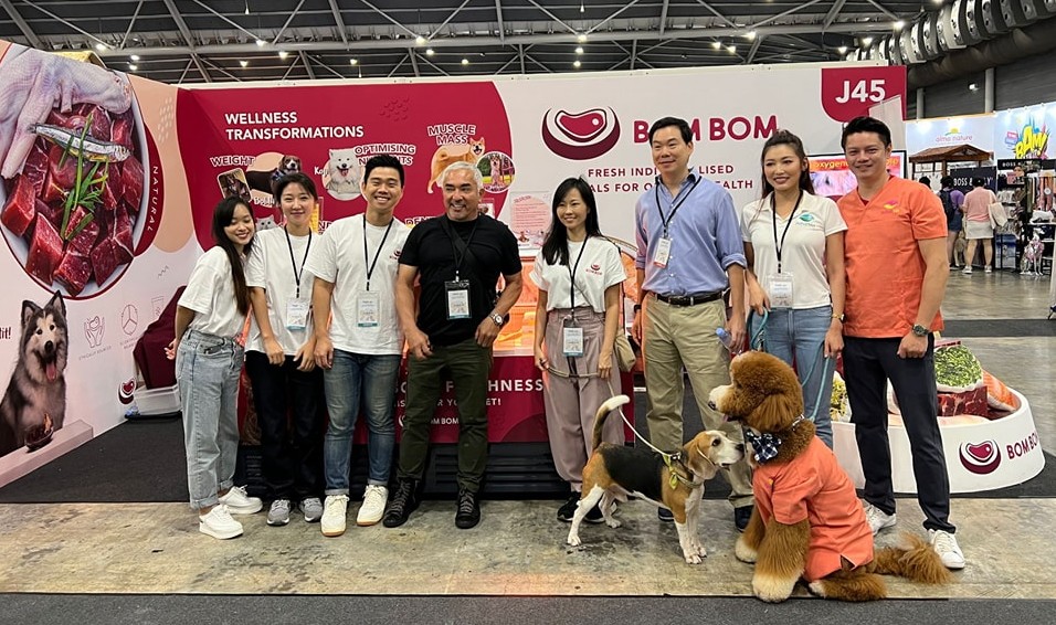 国际涂料工业展现场照片