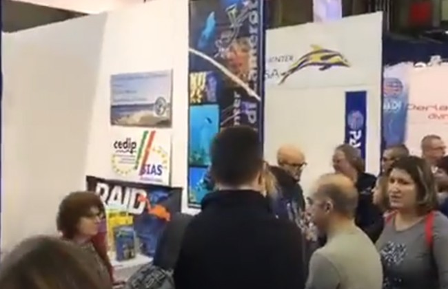 国际涂料工业展现场照片