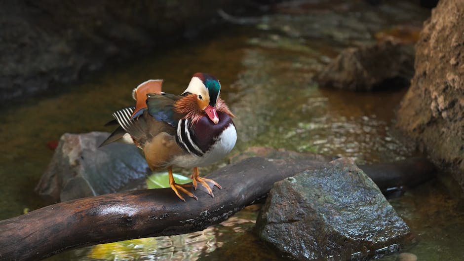  墨西哥圣路易斯波托西会展中心