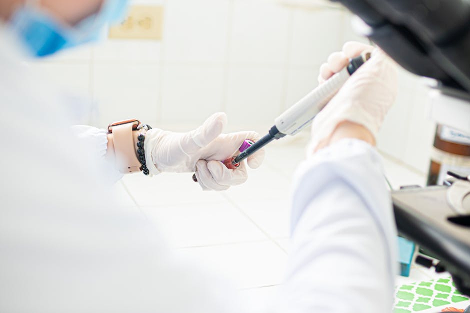  墨西哥圣路易斯波托西会展中心