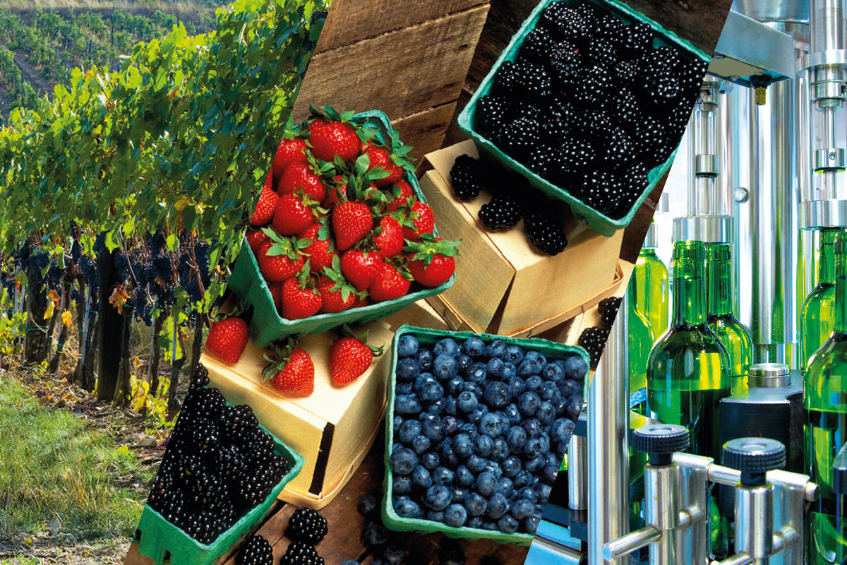 国际涂料工业展现场照片