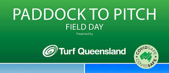 悉尼皇家植物园