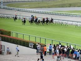 大马士革赛马场