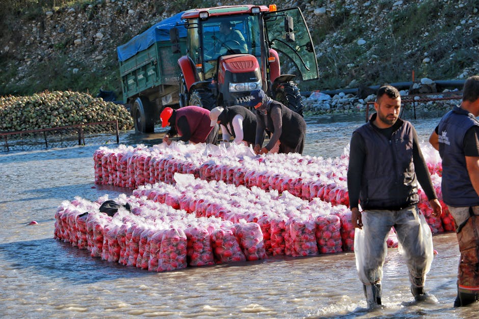 国际涂料工业展现场照片