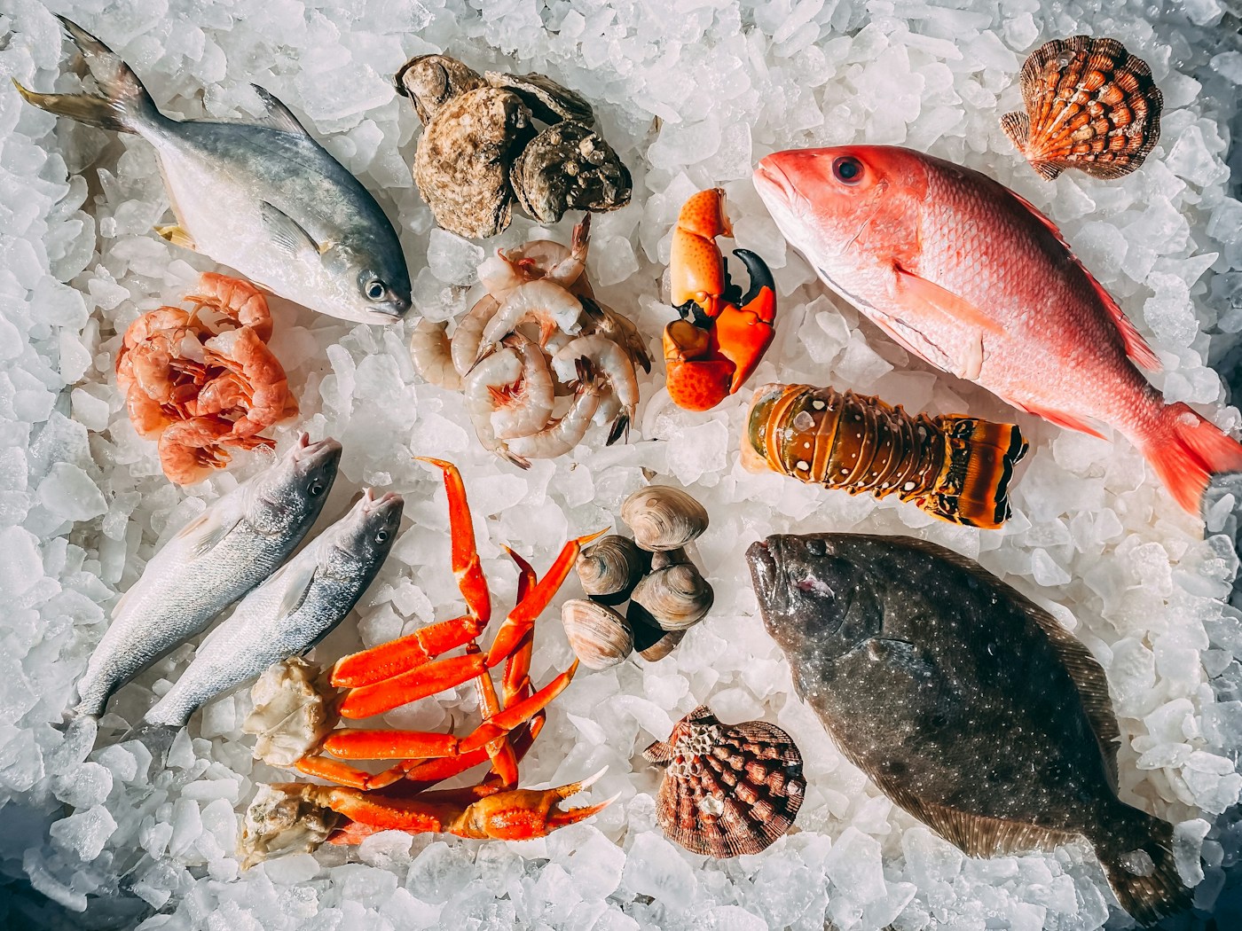 巴西水产海鲜展览会 SEAFOOD SHOW LATIN AMERICA 现场