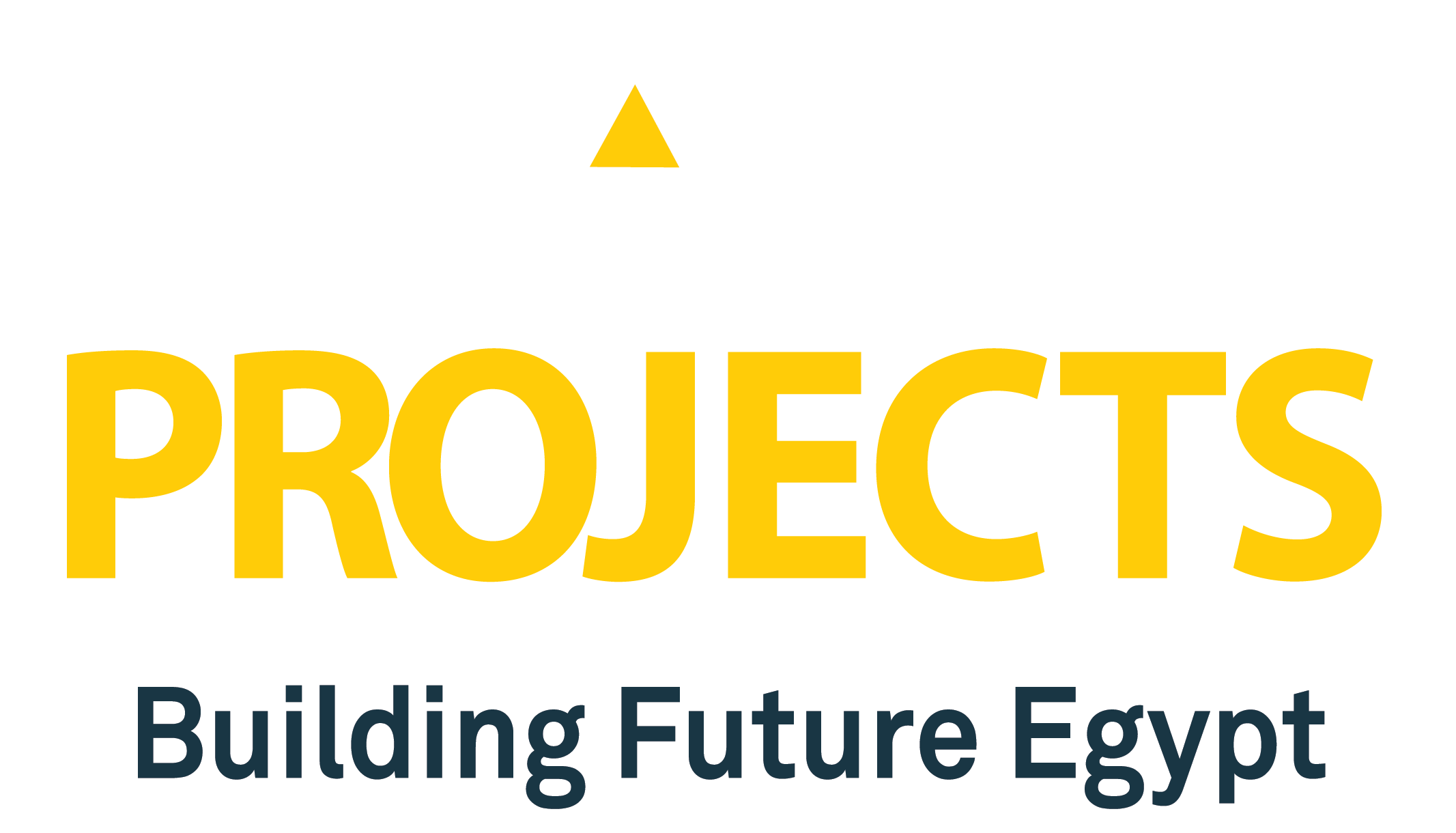 埃及开罗工程机械基建展 Egypt Projects