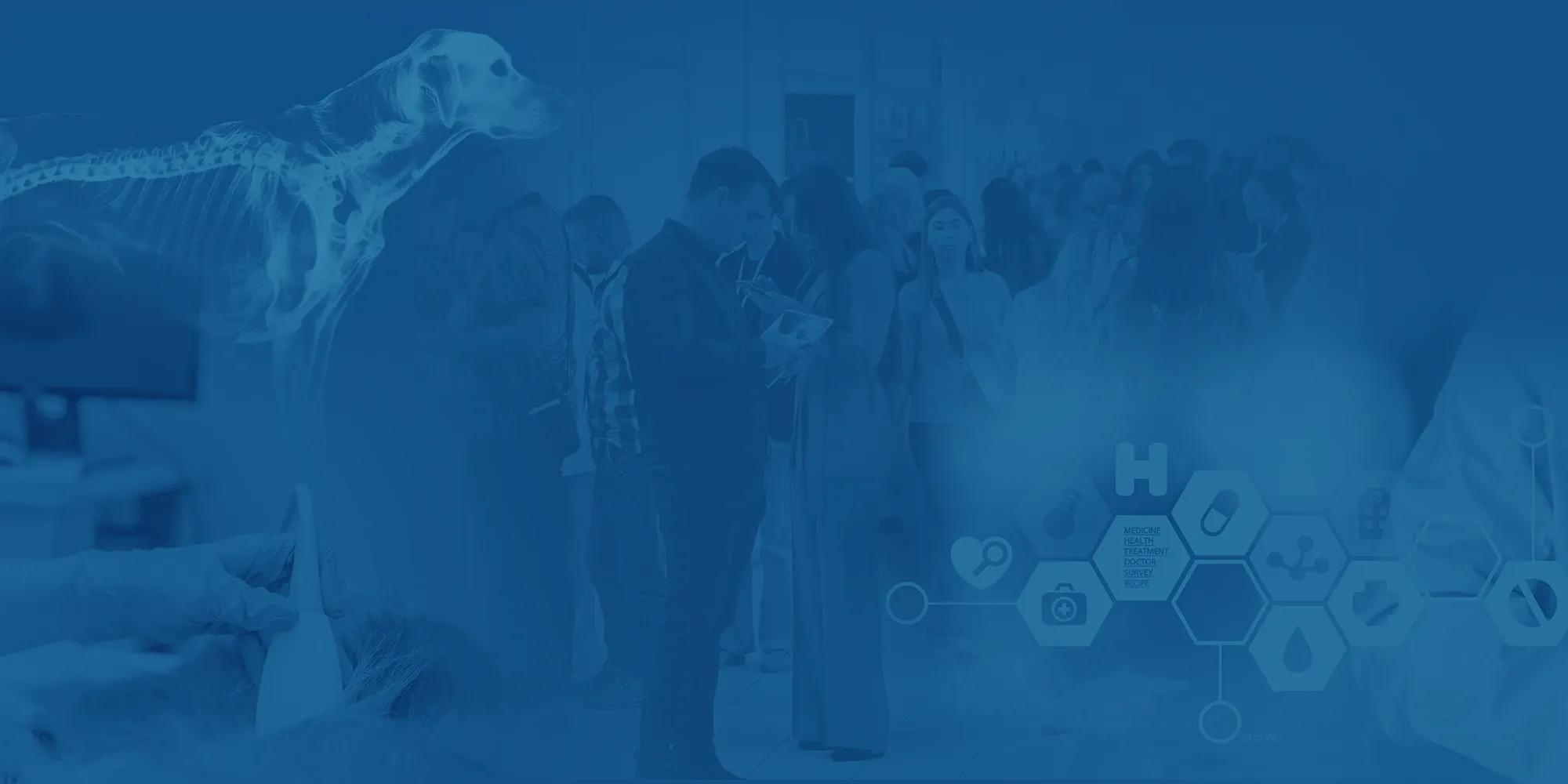 波兰华沙兽医展 VETERINARY Expo Poland 现场