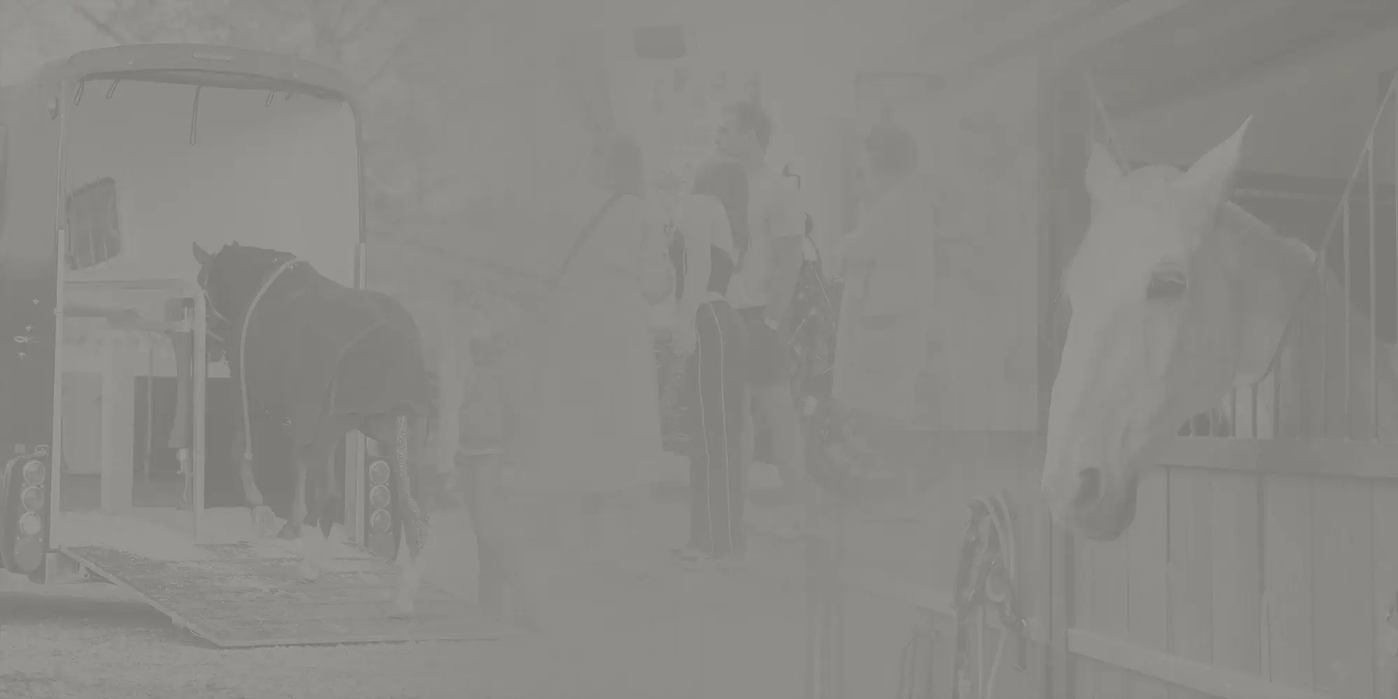 波兰华沙马术及马匹健康展 Horse Pro Forum 现场